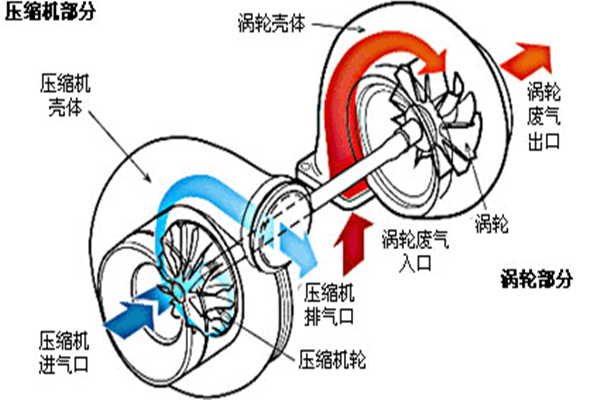 图片3_副本.png